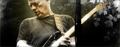 David Gilmour Equip